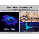 Acebeam UC25 All-in-One Flat Flashlight - Cool White, High-CRI, and UV Light - Green Laser - USB-C Rechargeable 3000mAh Li-Poly Battery - Black or Teal