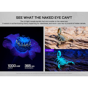 Acebeam UC25 All-in-One Flat Flashlight - Cool White, High-CRI, and UV Light - Green Laser - USB-C Rechargeable 3000mAh Li-Poly Battery - Black or Teal