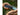 Person holding a Leatherman tool with a sleeve against a blurred green background