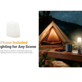 diffuser included in the packaging