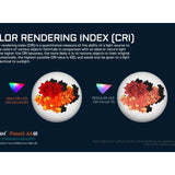 Acebeam Pokelit AA LED Flashlight - 500 Lumens - Nichia 519A - High CRI - Includes 1 x USB-C Rechargeable 14500 - Copper or Titanium - Copper, Damascus, or 10th Anniversary Edition