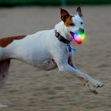 Nite Ize GlowStreak Wild LED Ball - Disc-O - (GSBW-07-R8)