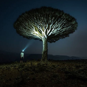 Ledlenser HF6R Signature Rechargeable LED Headlamp - 1000 Lumens - Uses 3.7V 7.4Wh Li-ion Battery Pack - Black or Multicam