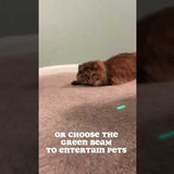 Olight Arkfeld LED Flashlight - 1000 Lumens - 6500K Cool White or 5000K Neutral White - Green Laser - Black and Additional Colors