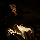 Olight Javelot Mini Rechargeable LED Flashlight - 1000 Lumens - Uses Built-in 2040mAh Li-ion Battery Pack - Black, OD Green, Midnight Blue, Antique Bronze, or Orange (LE)