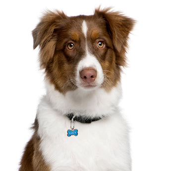 Nite Ize MicroLink Pet Tag Carabiner - 2 Pack - (TL-11-2R3)