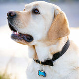 Nite Ize MicroLink Pet Tag Carabiner - 2 Pack - (TL-11-2R3)