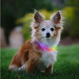 Nite Ize NiteHowl Mini Rechargeable LED Safety Necklace - Disc-O Select