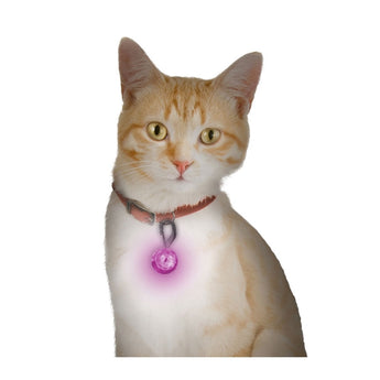 Nite Ize PetLit LED Collar Light with Carabiner Clip - White LED - Includes 1 x CR927 - Jewel Pink (PCL02-03-12JE)