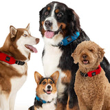 Nite Ize RadDog All-In-One Collar and Leash - Medium - Blue