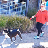 NiteIze RadDog Retractable Pocket Leash - Large or Small