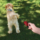 NiteIze RadDog Retractable Pocket Leash - Large or Small
