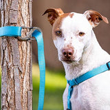 Nite Ize SlideLock Pet S-Biner