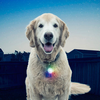 Nite Ize Spotlit LED Collar Light