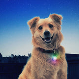 Nite Ize Spotlit LED Collar Light