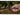 Olight Chital Mini Folding Knife - G10 Handle - D2 Blade - Black