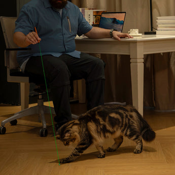 Olight O'Pen 3 LED Pen Light - Green Laser Pointer Being Used to Play with Cat