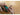 Olight Opry Titanium Pry Bar Set