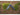 Olight Splint Folding Knife - Black - Environmental - Moss
