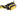 Petzl PIXA LED Headlamp - 450 Lumens - Black and Yellow - Uses 3 x AAA (Included) or CORE 2 Battery Pack