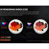 Acebeam Rider RX Ti 2.0 EDC LED Flashlight - 700 Lumens - NICHIA 519A V1 - Includes 1 x USB-C Rechargeable 14500 - Titanium - Silver or Special Edition Design