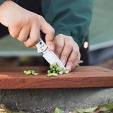 Olight Rubato 3 Stainless Steel EDC Folding Knife