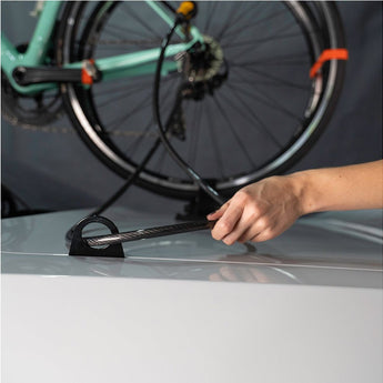 SeaSucker BA8920 Cable Anchor/Lock Combo 6' - Trunk