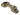 Streamlight 14115 Sidewinder High Offset ARC Mount