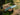 SOG Tellus FX Fixed Blade Knife - Olive Drab, Wolf Gray, or Blaze