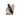 TerraLUX / Lightstar Corp. Pro-2 Series LED Flashlight - 225 Lumens - Runs on 2x AA batteries - Black