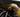 Underwater Kinetics UK2AAA Xenon 13206 Penlight S - 12 Lumens - Class I Div 2 - Uses 2 x AAAs - Safety Yellow