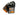 UST Learn & Live Knot Tying Kit - Case