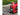 Wagan JumpBoost V6