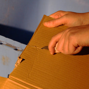 Nextorch KT5523 TaoDou Package Opener - Pink