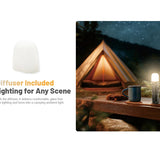 diffuser included in the packaging