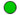 Acebeam FR20 Filter for T21 and T30 - Available in Green or Red