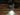 Olight Arkfeld LED Flashlight - 1000 Lumens - 6500K Cool White or 5000K Neutral White - UV - Black and Additional Colors