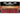 Duracell Quantum AA Alkaline Battery - 12 Count Blister Pack