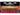 Duracell Quantum AA Alkaline Battery - 12 Count Blister Pack