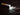 Fenix 15th Anniversary Limited Edition Commemorative Flashlight - CREE XP-E2 R3 LED - 85 Lumens - Rose Gold - Includes 1 x AAA