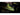 Fenix TK41C High Output Tri-Color Tactical Flashlight - CREE XM-L2 U2 / Philips Luxeon Z LEDs - 1000 Lumens - Uses 8 x AAs