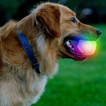 Nite Ize GlowStreak Wild LED Ball - Disc-O - (GSBW-07-R8)