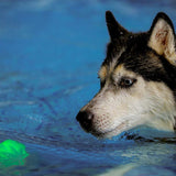 Nite Ize GlowStreak Wild LED Ball - Disc-O - (GSBW-07-R8)