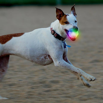 Nite Ize GlowStreak Wild LED Ball - Disc-O - (GSBW-07-R8)