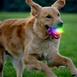 Nite Ize GlowStreak Wild LED Ball - Disc-O - (GSBW-07-R8)