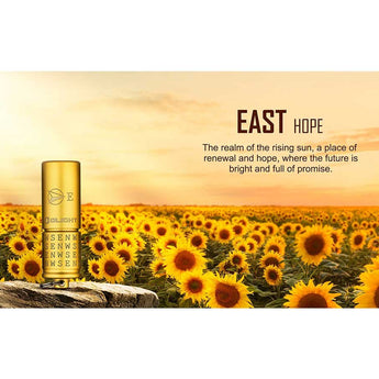 Olight I1R 2 Pro EOS Keychain Twist USB-C Rechargeable Flashlight - Cardinal Directions Edition - Chip Scale LED - 180 Lumens - Uses Built-In 130mAh Battery Pack - North, South, East, West and Center