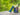 Olight Javelot Mini Rechargeable LED Flashlight - 1000 Lumens - Uses Built-in 2040mAh Li-ion Battery Pack - Black, OD Green, Midnight Blue, Antique Bronze, or Orange (LE)