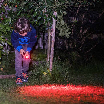 Ledlenser KidBeam4 LED Flashlight - 70 Lumens - Uses 2 x AAA - Dinosaur Green or Rainbow Purple