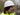 Klein Tools Winter Helmet Liner (60383)