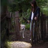 Ledlenser 502597 P3 Core LED Flashlight - 90 Lumens - Includes 1 x AAA